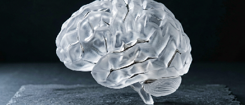 Abstract representation of cognitive intelligence and neural structure